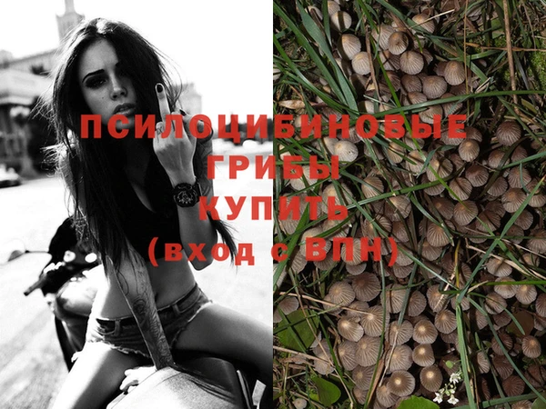 мескалин Белокуриха