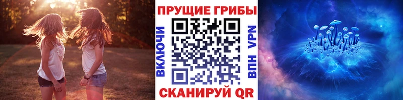 Галлюциногенные грибы мухоморы  Белокуриха 