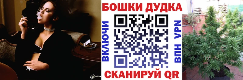 Каннабис планчик  Белокуриха 